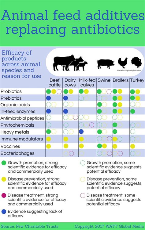 How Antibiotics Work On Farm Animal